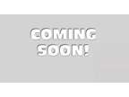 2022 Ford Mustang EcoBoost Pre-Owned
