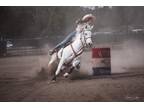 Fast & Pretty Gaming, Gymkhana, and Barrel Gelding!