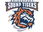Providence Bruins vs. Bridgeport Sound Tigers Tickets