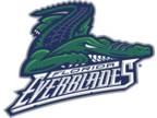 Atlanta Gladiators vs. Florida Everblades Tickets