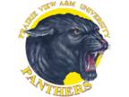 TCU Horned Frogs vs. Prairie View A&M Panthers Tickets